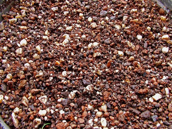 Das was ich drin habe, grob über den Daumen 3-4 Teile Maxit (3-5mm) und ne Handvoll Kokohum