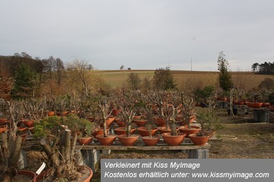 März2012 047_klein.jpg