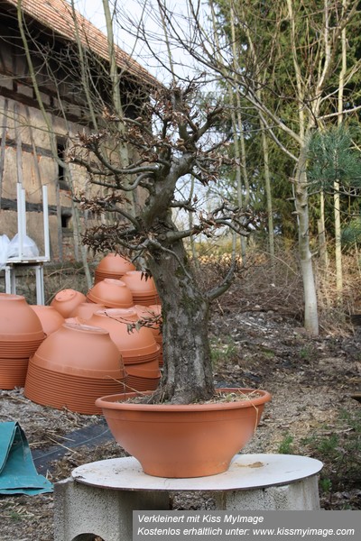 März2012 048_klein.jpg