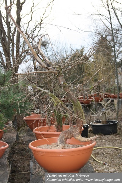 März2012 050_klein.jpg