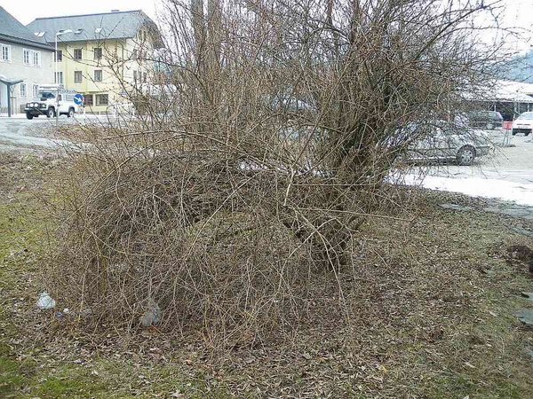 13.03.2010