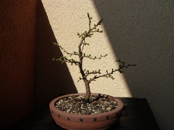 Bild 018.jpg