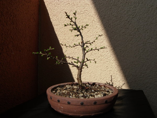 Bild 019.jpg