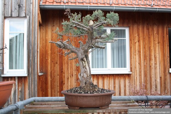 März2012b 007_klein.jpg
