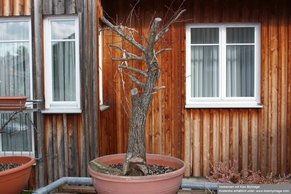 März2012b 002_klein.jpg