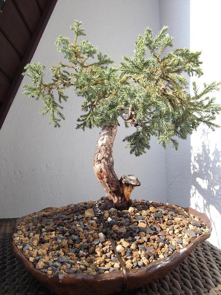 DSCF1428.jpg