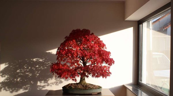 Herbst 2011