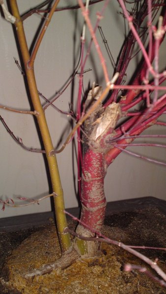 16032012797 small.jpg