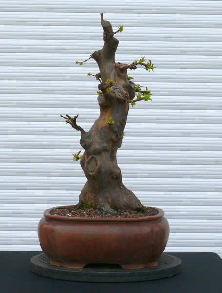 P1000777.JPG