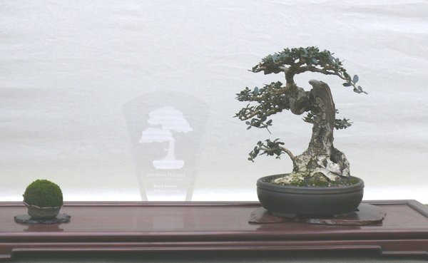 P1050339k.JPG