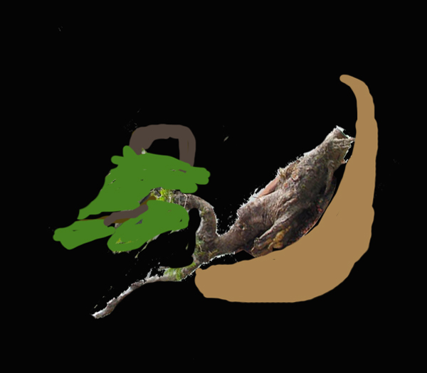 virt1.jpg