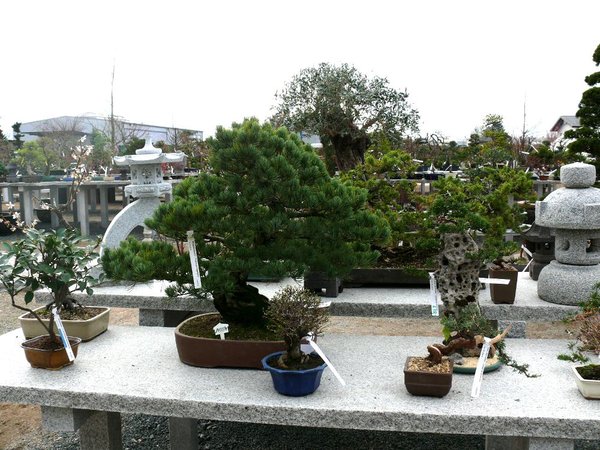 P1050424k.JPG