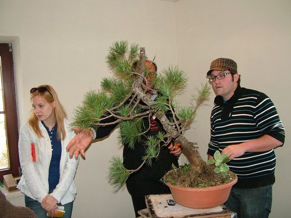 comp_22012_0325Bild0011.jpg