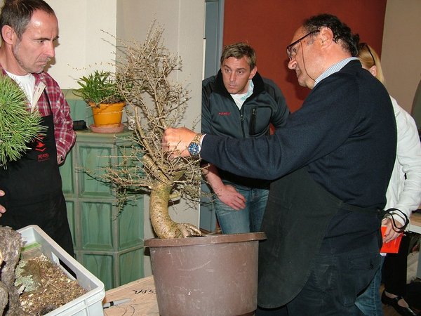 comp_22012_0325Bild0080.jpg