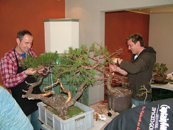 comp_22012_0325Bild0178.jpg