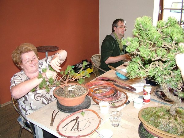 comp_22012_0325Bild0229.jpg