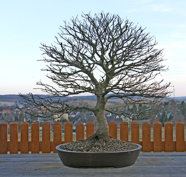 Vorderseite