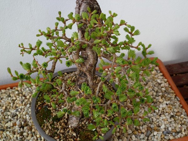 P1020175.JPG