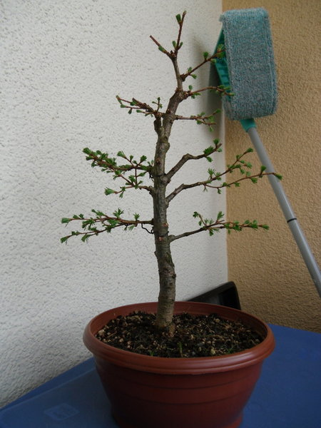 Bild 007.jpg