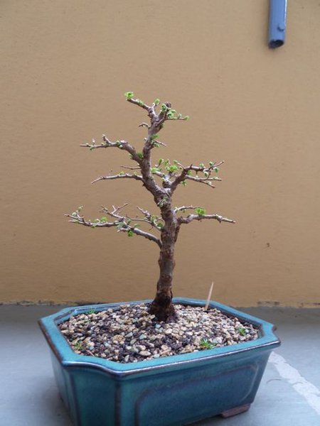 P1020193.jpg