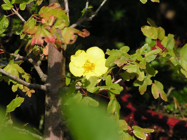 PICT0093.JPG