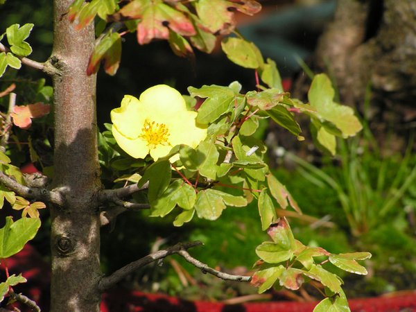 PICT0094.JPG