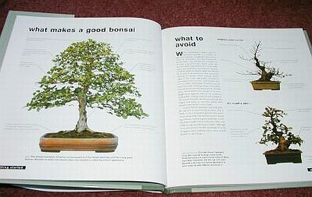 Bonsai Life Histories-2.jpg