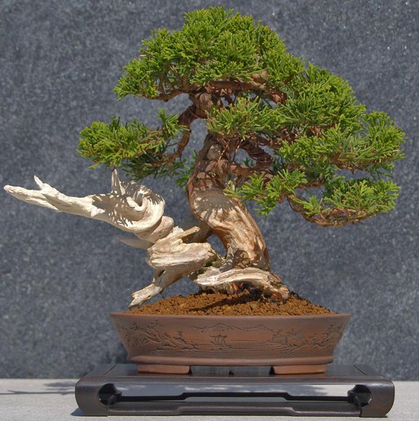 itoigawa.jpg