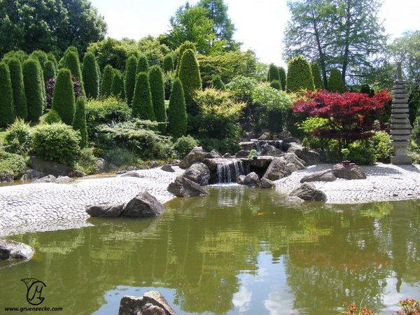 Der japanische Garten in Bonn
