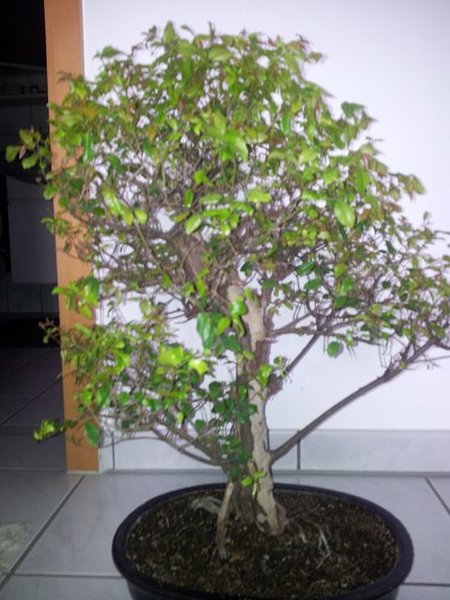 k-20120418_125340.jpg