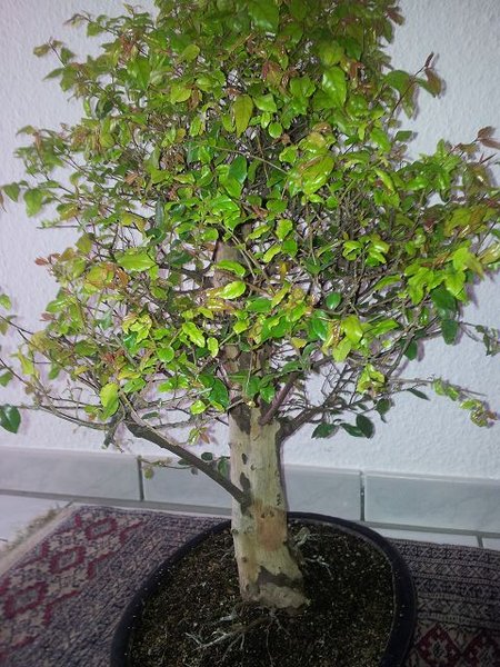 k-20120418_125513.jpg
