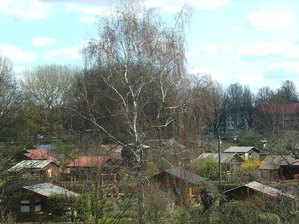 comp_BILD3140.jpg