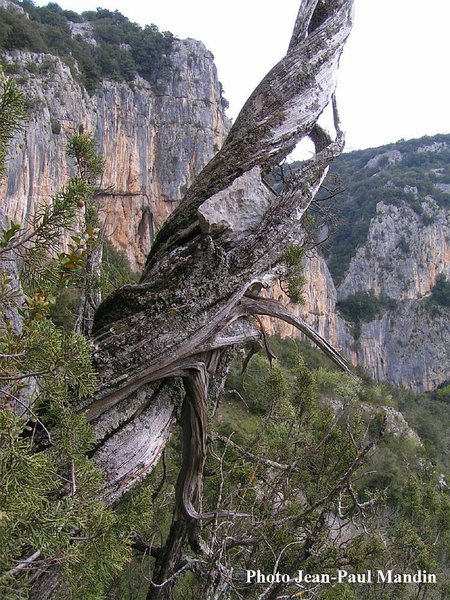 chute-de-pierre.jpg