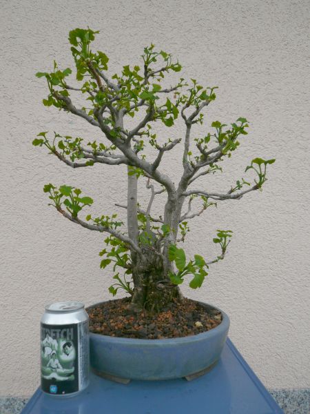 15.4.2012 linke Seite.JPG