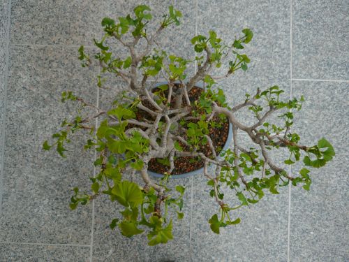15.4.2012 oben.JPG