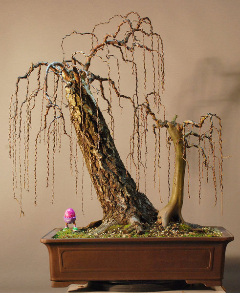 2012.04e.jpg