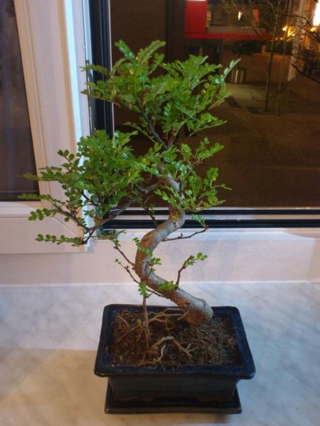 K800_DSC_0009.JPG