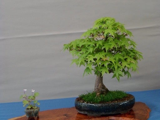 ausstellung 29.04.2012 016b.jpg