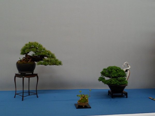 ausstellung 29.04.2012 020f.jpg