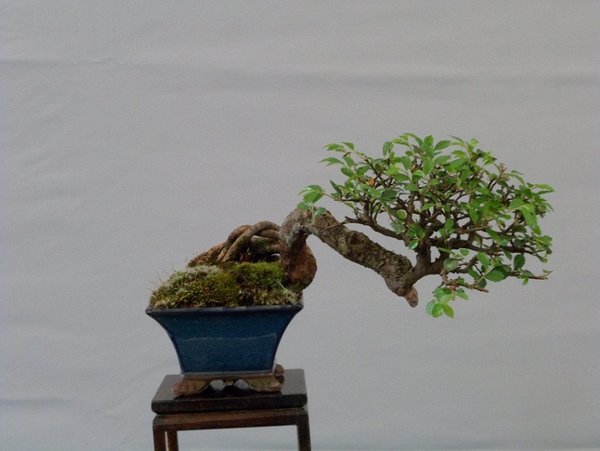 ausstellung 29.04.2012 023i.jpg