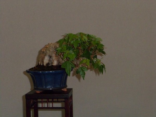 ausstellung 29.04.2012 025l.jpg