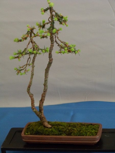 ausstellung 29.04.2012 039a.jpg