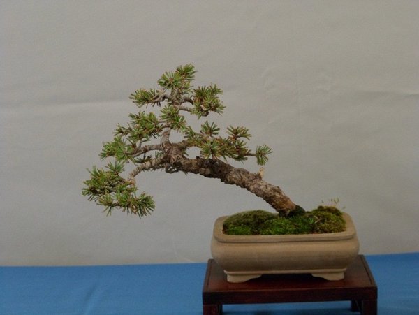 ausstellung 29.04.2012 029a.jpg