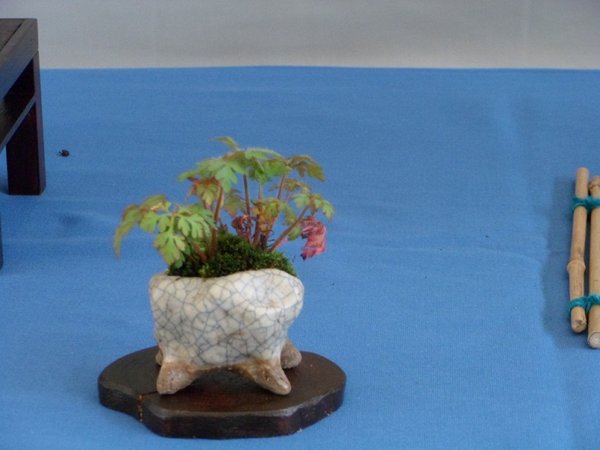 ausstellung 29.04.2012 038a.jpg