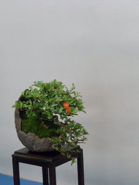 ausstellung 29.04.2012 034a.jpg