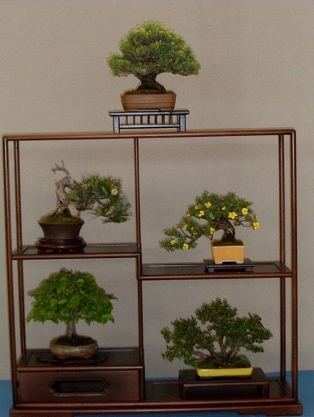 ausstellung 29.04.2012 033a.jpg
