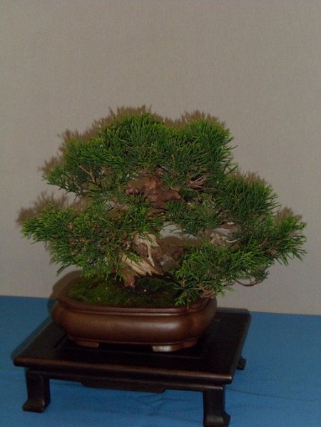 ausstellung 29.04.2012 035a.jpg