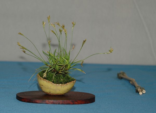 DSC_0068a.jpg