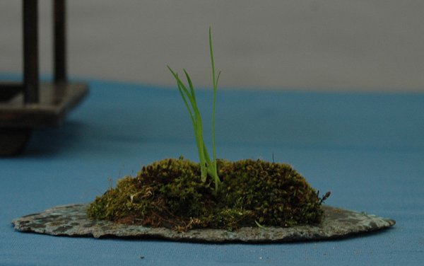 DSC_0080a.jpg