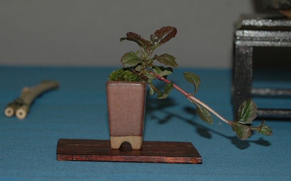 DSC_0099a.jpg
